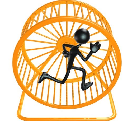 human sized hamster wheel amazon